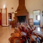 Дерев'яний котедж Finca Pajaritos
