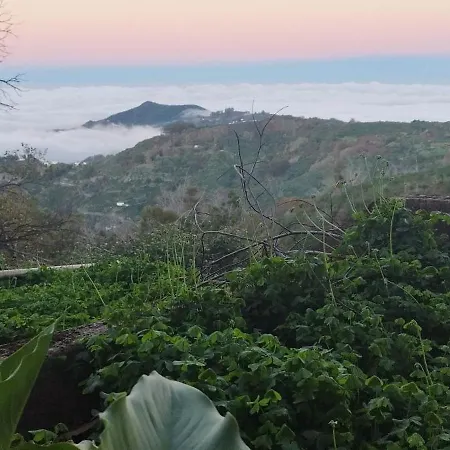 Дерев'яний котедж Finca Pajaritos Лас-Пальмас-де-Гран-Канарія