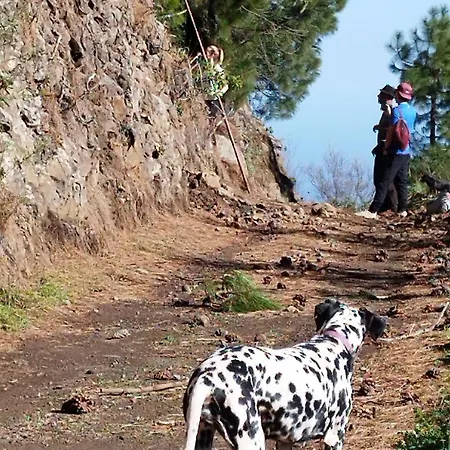 Finca Pajaritos Las Palmas de Gran Canaria