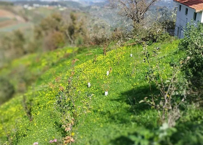 Lodge Finca Pajaritos