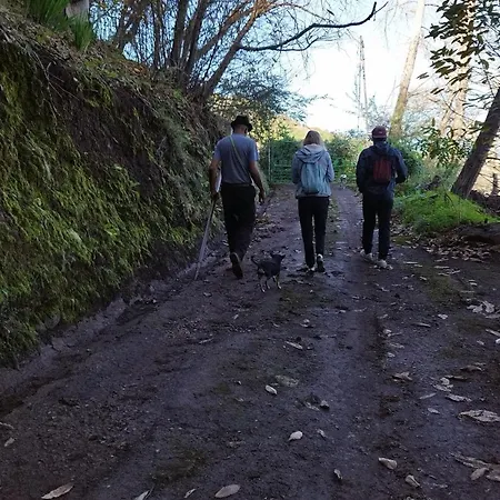 Finca Pajaritos *