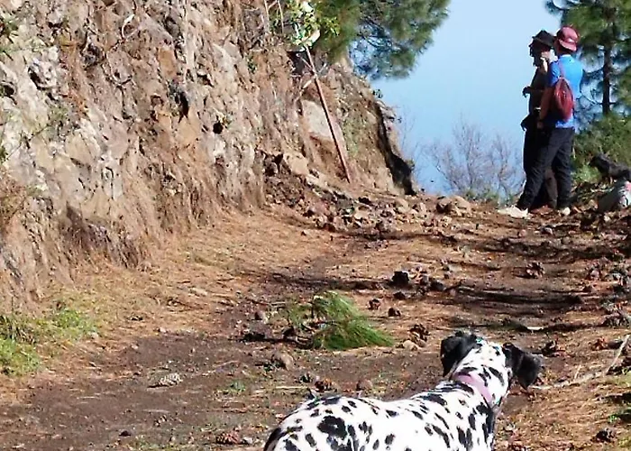 Finca Pajaritos Las Palmas de Gran Canárias