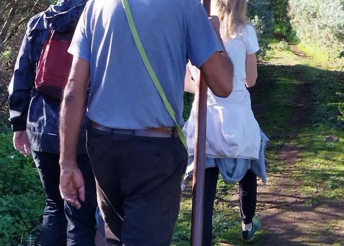 Alojamento de Turismo Selvagem Finca Pajaritos